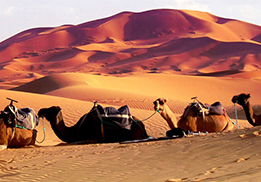 fes desert tours 3 days