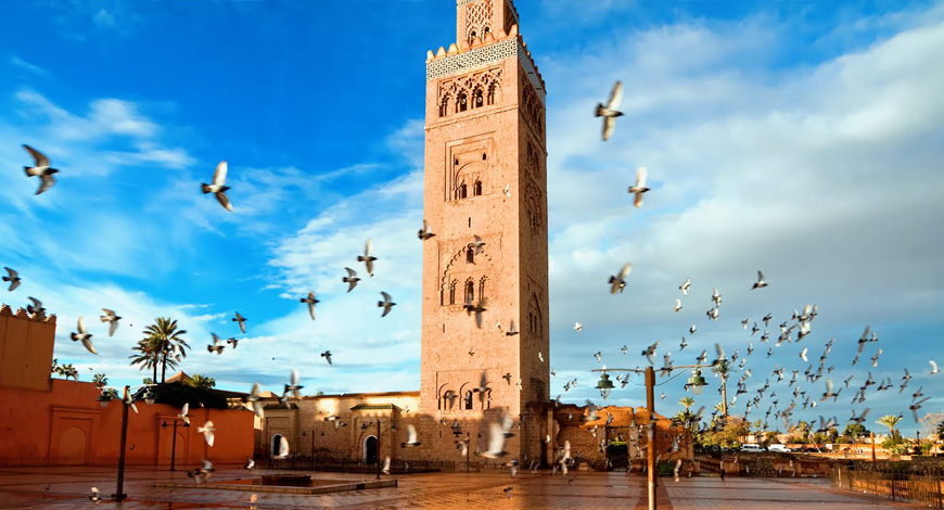 Marrakech Guided Tour